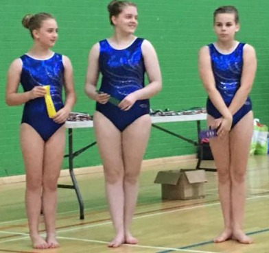 Intermediate competition gymnasts